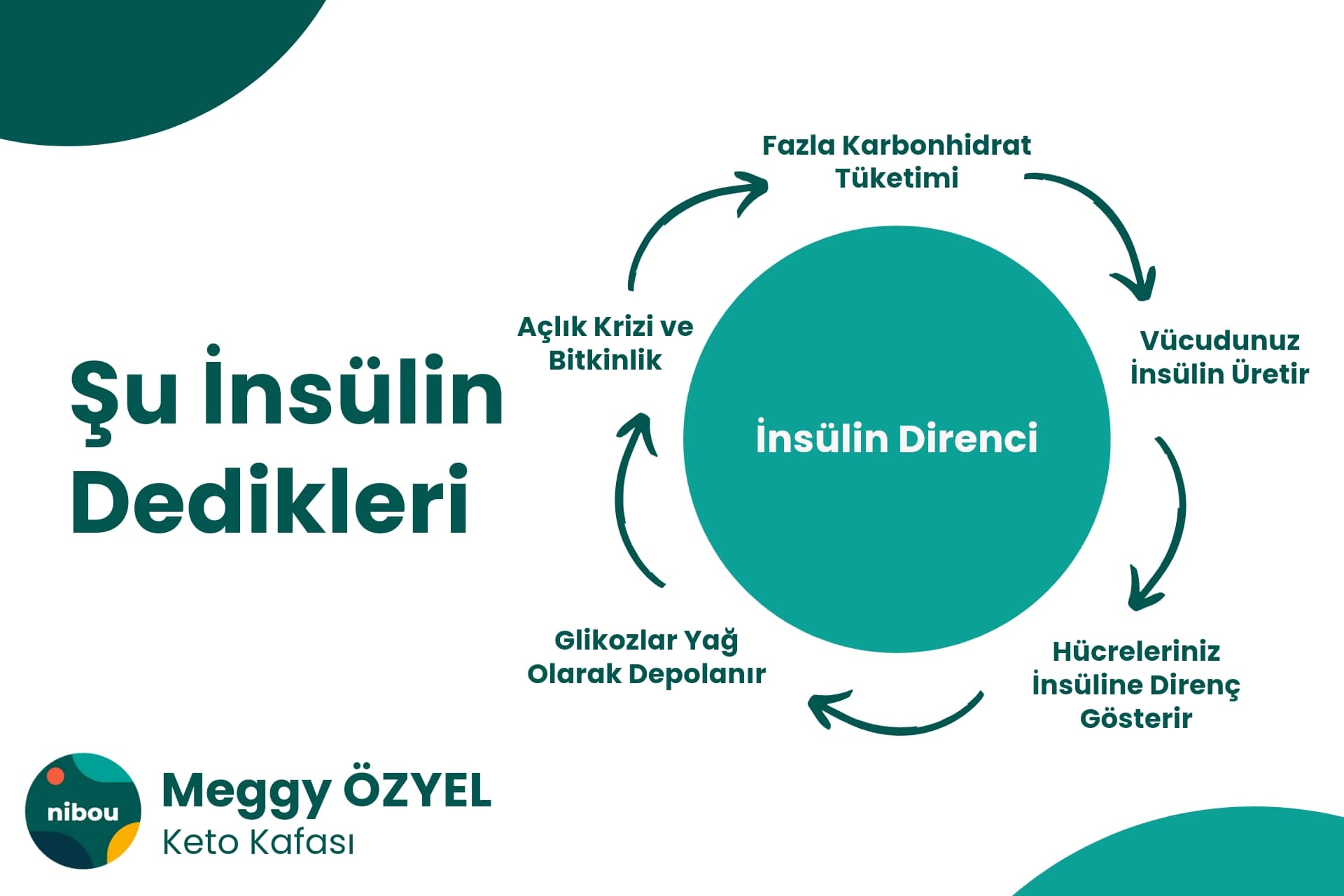 Şu İnsülin Direnci Dedikleri